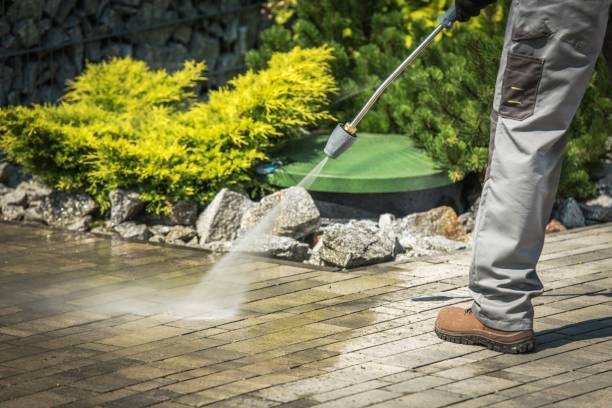 Best Concrete Sealing  in Winsted, MN